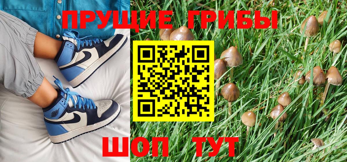 Псилоцибиновые грибы Psilocybe Реж